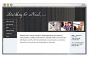 Steidley & Neal - Website